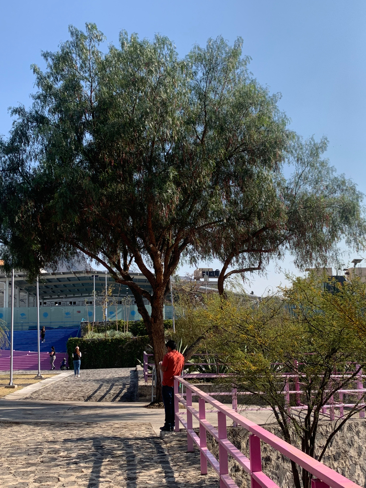 Parque Hídrico la Quebradora